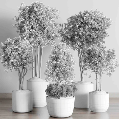 Collection indoor outdoor plant 145 plant tree vase dirty concrete — Вид 4