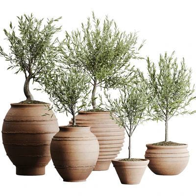 outdoor plant set 06 — descargar