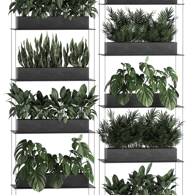 Vertical gardening of the home garden on a black flower shelf with a Monstera, a phytosten, a phytomodule. Set of 64 — Descargar
