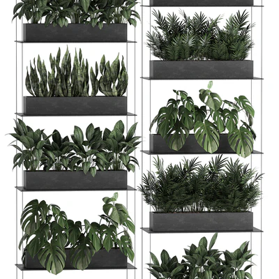 Vertical gardening of the home garden on a black flower shelf with a Monstera, a phytosten, a phytomodule. Set of 64 — Ver 2