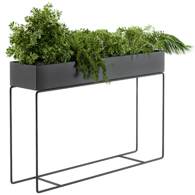 Black Box Plants on stand02 — Ver 1