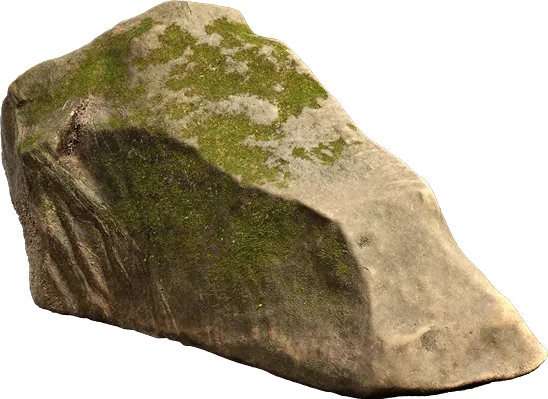 mossy forest boulder 001 — Скачать
