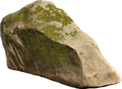 mossy forest boulder 001 — Скачать
