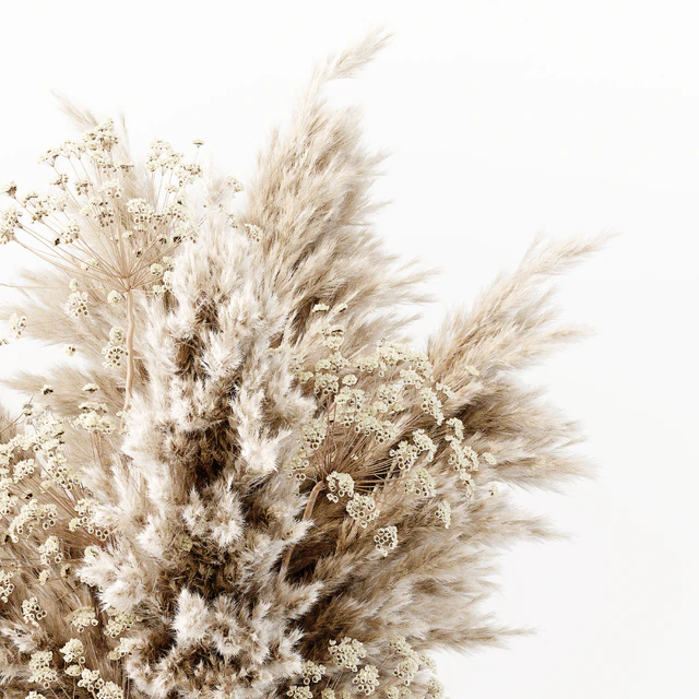 Pampas In A Bubble Pot — Descargar