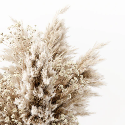 Pampas In A Bubble Pot — Ver 2