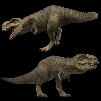 Tyrannosaurus rex — Вид 3
