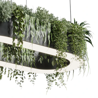pot light - pendant plant light hanging 06 corona — Ver 2