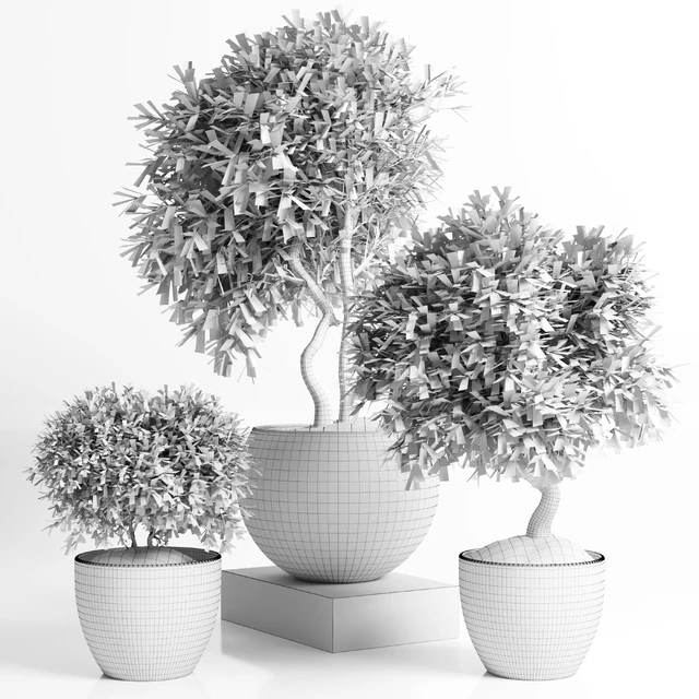 Outdoor plant in concrete pot 12 — Скачать