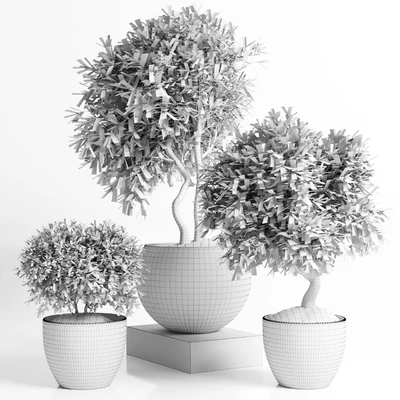 Outdoor plant in concrete pot 12 — Вид 2