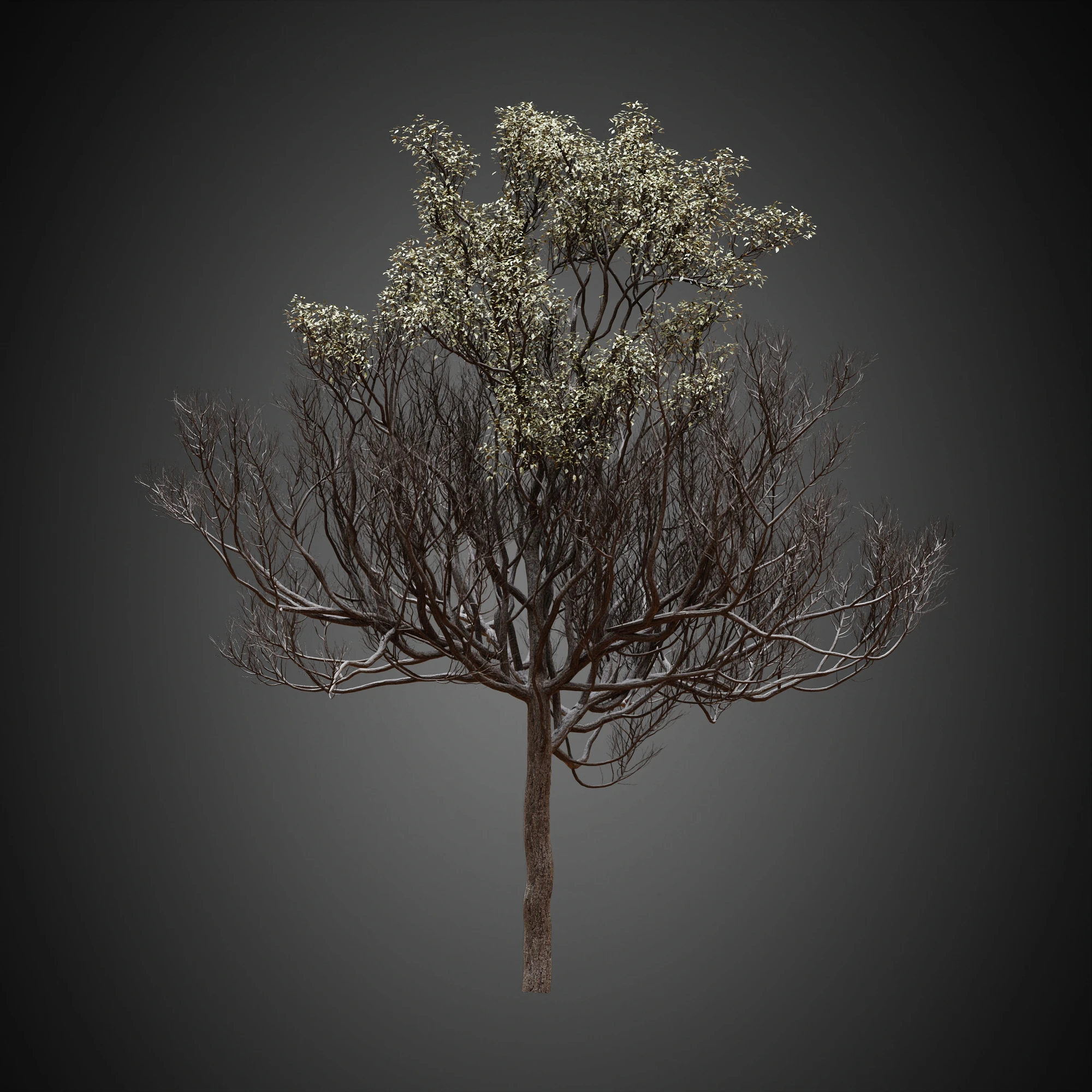 007 — Скачать