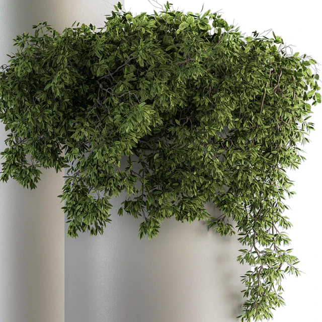 indoor Plant Set 120 - Green and White Set — Скачать