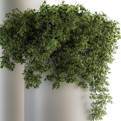 indoor Plant Set 120 - Green and White Set — Вид 2