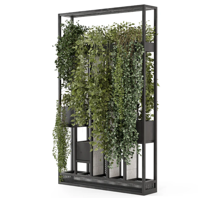Indoor Hanging Plants in Metal Stand - Set 1698 — Descargar