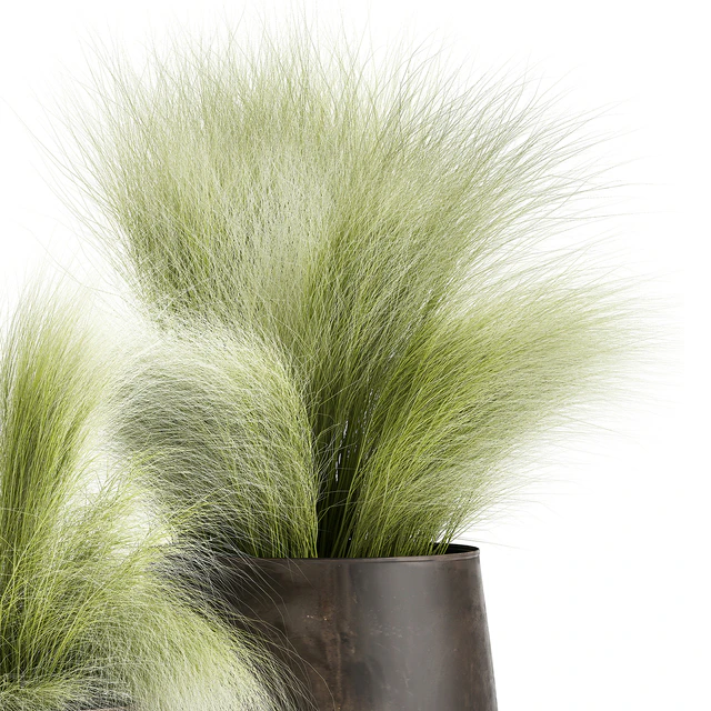 Collection of plants of fluffy bushes in outdoor pots Grass grass, hummock. Set 908. — Descargar