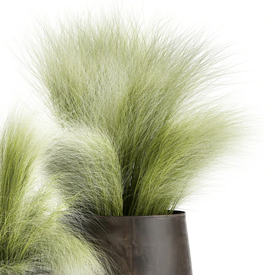 Collection of plants of fluffy bushes in outdoor pots Grass grass, hummock. Set 908. — Ver 2