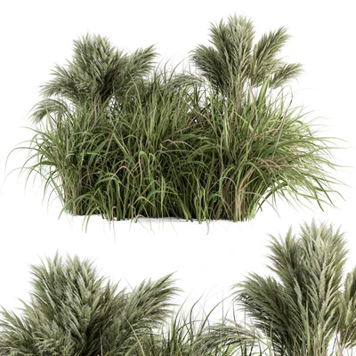 Pampas Bush - Bush Set 21 — Ver 1