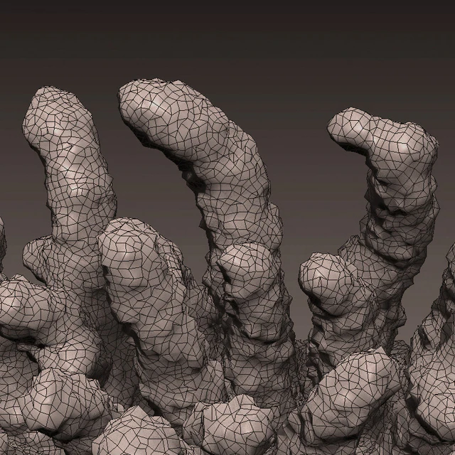Decorative coral — Descargar