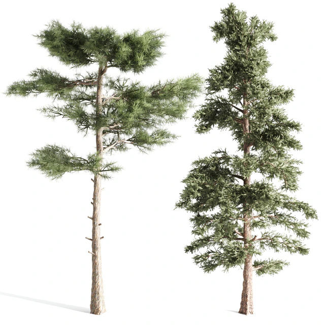 4 pines — Descargar
