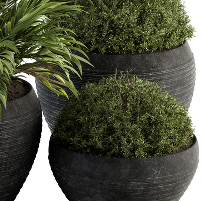 Outdoor Plants tree in Concrete Pot - Set 104 — Вид 2