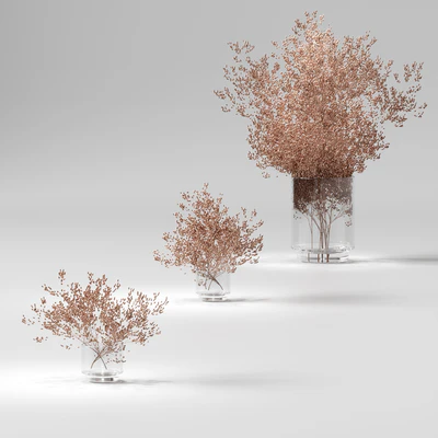 Dry plants set. 3 models — Ver 1