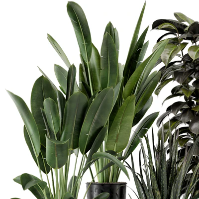Indoor Plants in Ferm Living Bau Pot Large - Set 583 — Вид 4