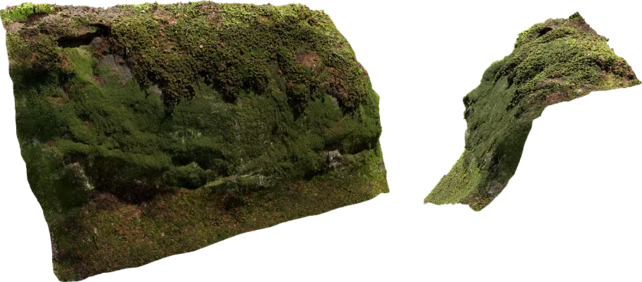 mossy rock face 003 — Descargar