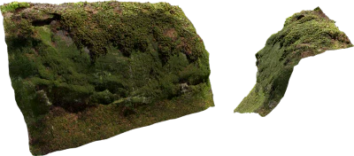 mossy rock face 003 — Descargar
