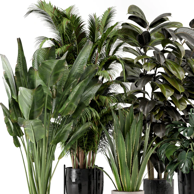 Indoor Plants in Ferm Living Bau Pot Large - Set 572 — Скачать