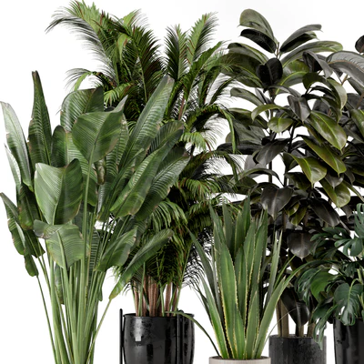 Indoor Plants in Ferm Living Bau Pot Large - Set 572 — Вид 2