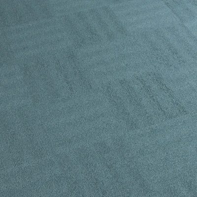 Carpet covering 209 — Ver 2