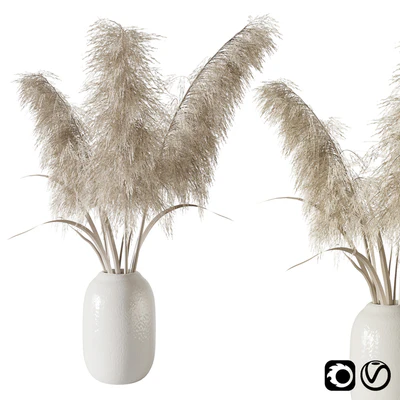 Pampas grass bouquet — Ver 1