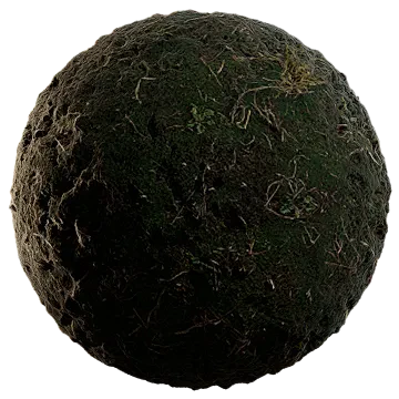 dried grass on moss 005 — Descargar