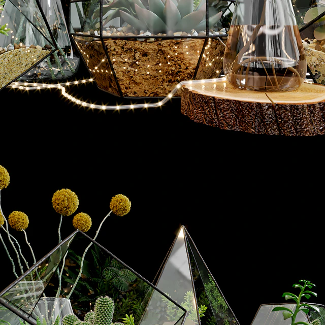 Set of florariums — Descargar