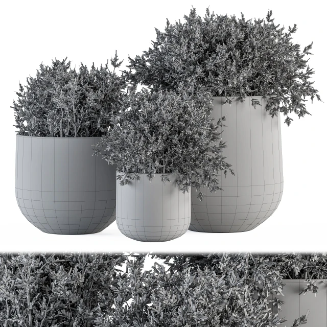 Outdoor Plants tree in Concrete pot - Set 125 — Скачать