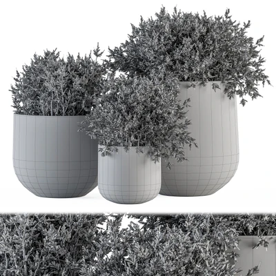 Outdoor Plants tree in Concrete pot - Set 125 — Вид 2