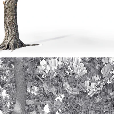 Pinus Sylvestris # 13 (12.4m) — Ver 2