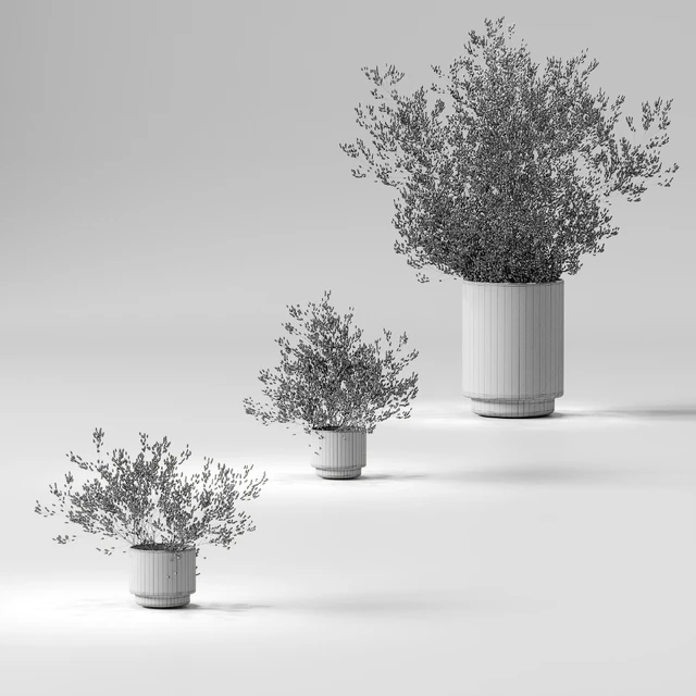 Dry plants set. 3 models — Descargar