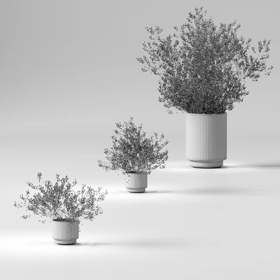 Dry plants set. 3 models — Ver 2