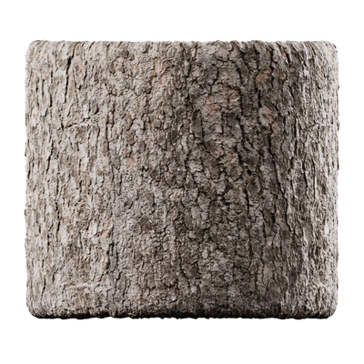 deciduous 008 — Descargar