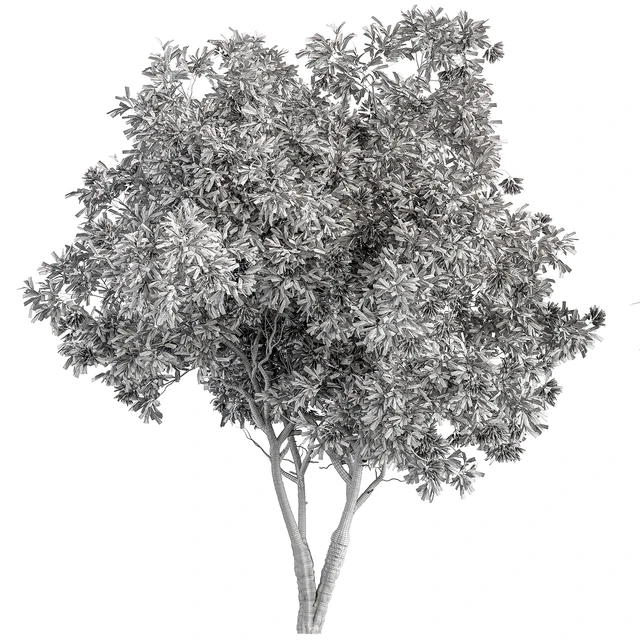 Nerium Oleander -Tree Set 229 — Descargar