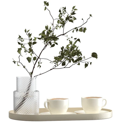 Two cups of cappuccino on a tray — descargar