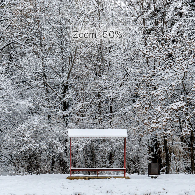 Panorama of the park with a lake and snow-covered trees. 46k — Descargar