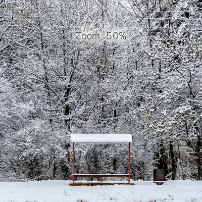 Panorama of the park with a lake and snow-covered trees. 46k — Ver 3