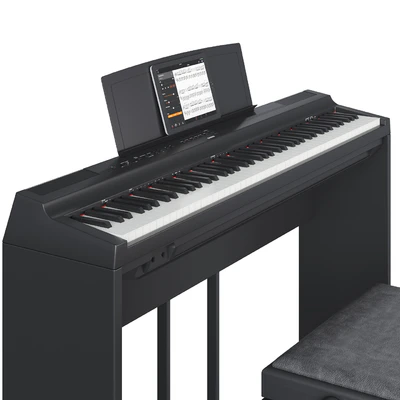 Yamaha P-125 — Ver 2