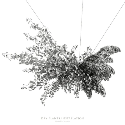 Dry plants installation — Ver 3