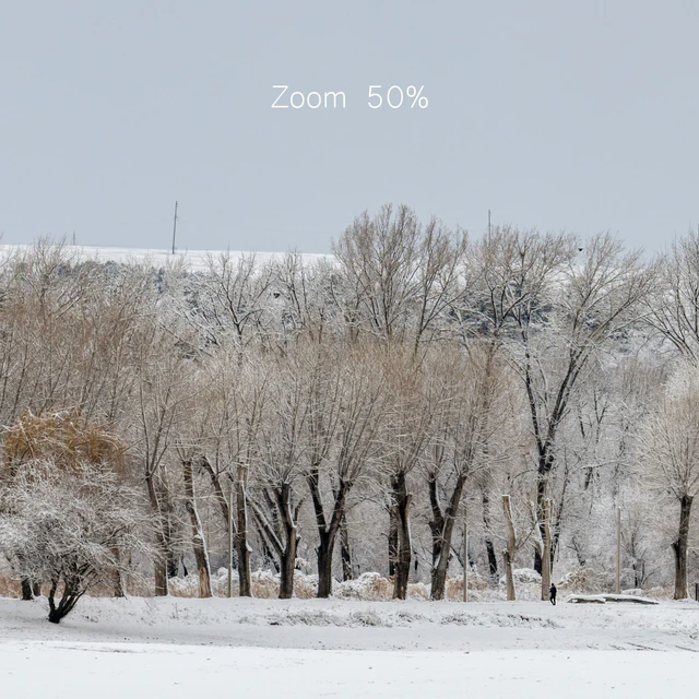 Panorama of the park with a lake and snow-covered trees. 45k — Download
