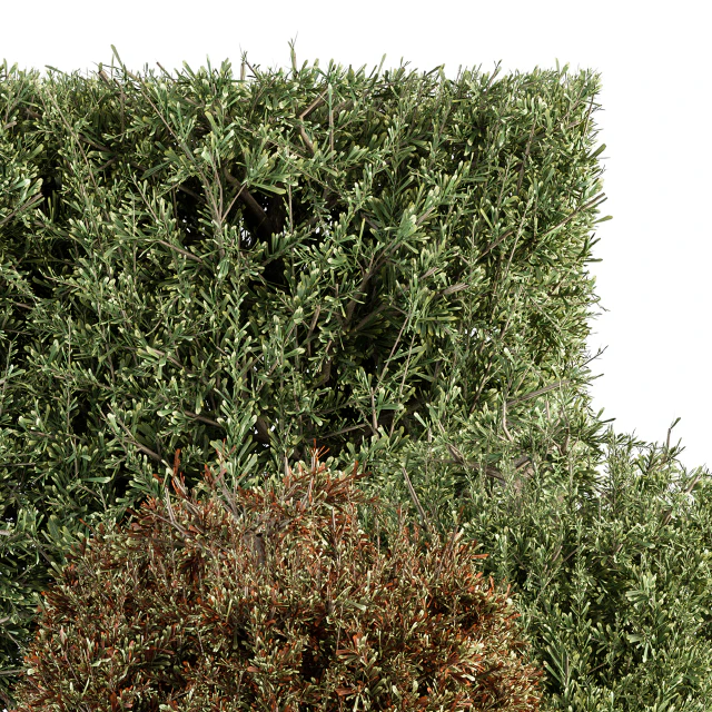 Cube and Circle Bush - Bush Set 18 — Descargar