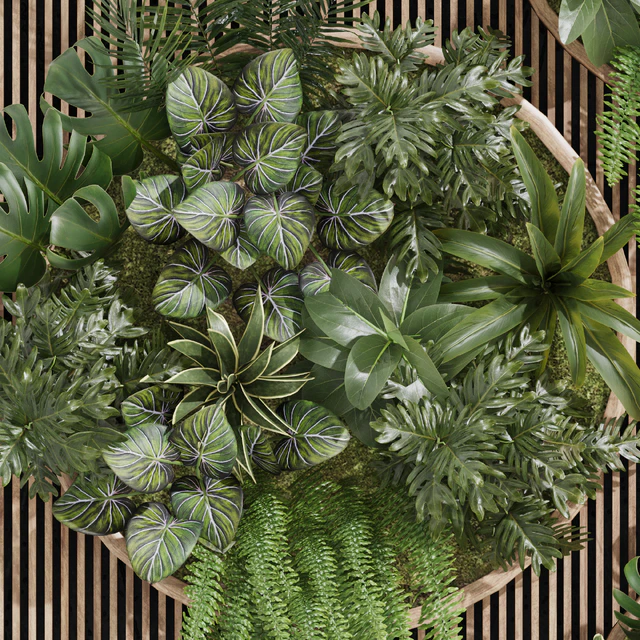 Fitowall garden plants set 23 — Descargar