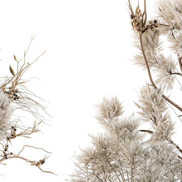 Dry plants 33 - Pampas and Dried Branch — Скачать