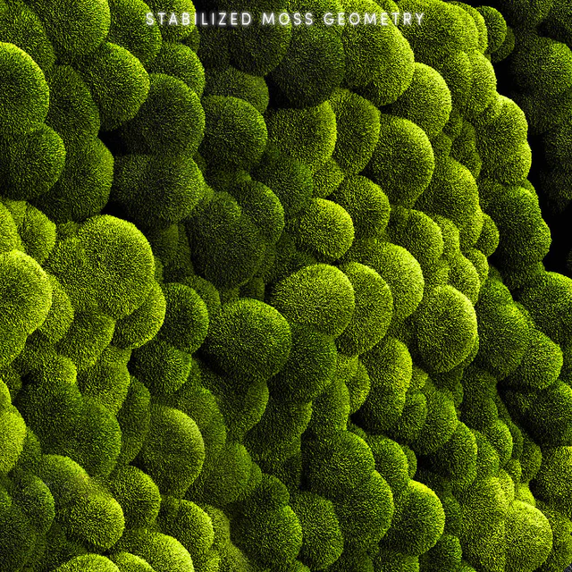 Mosswalls 2 — Descargar